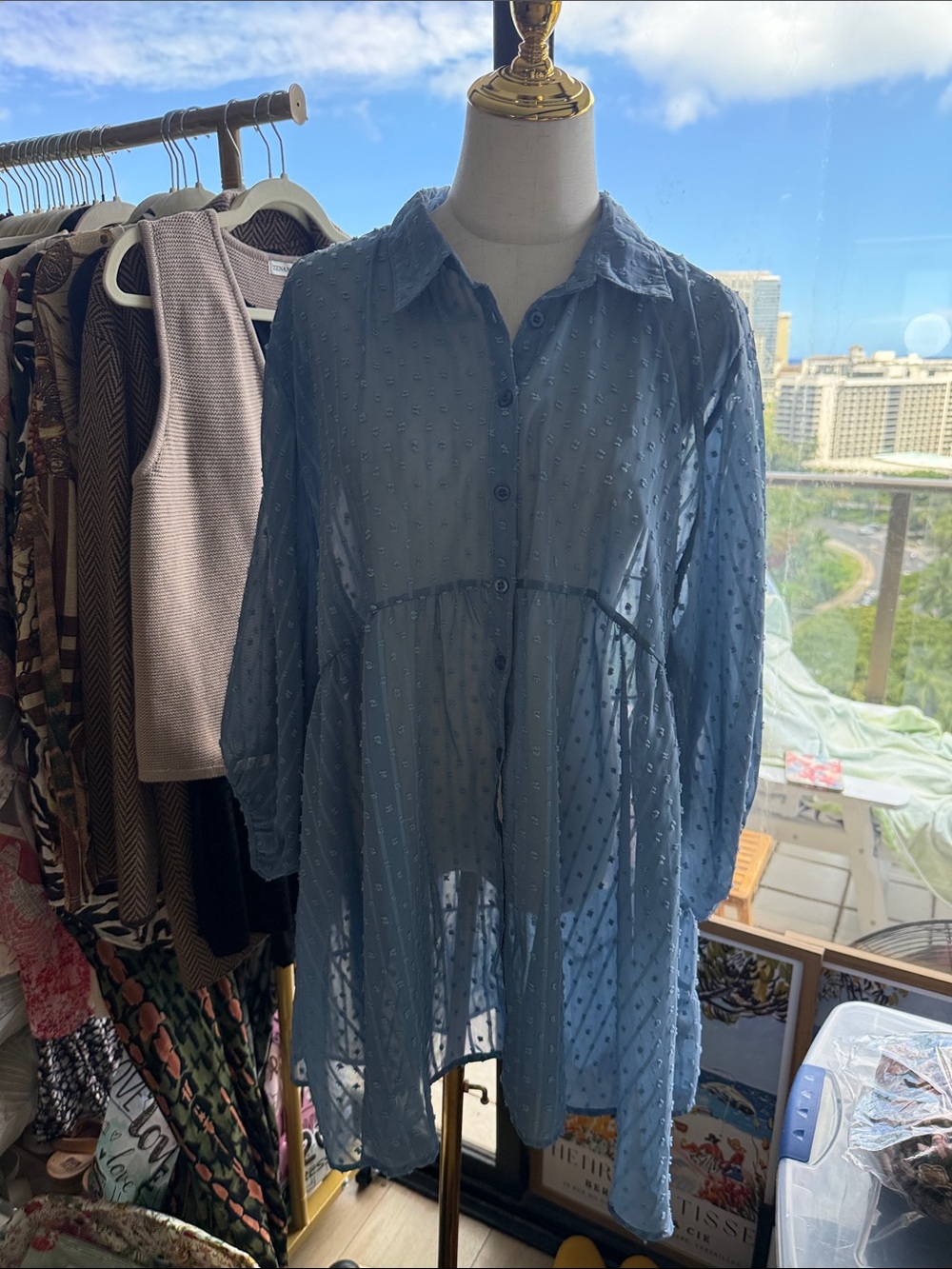 Umgee Light Blue Sheer Swiss Dot Blouse